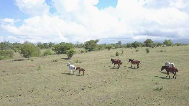 beautiful savana at doro ncanga geopark, bima west nusa tenggara indonesia. beautiful savana view with travel concept. drone view savana 