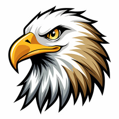  Eagle Head Vector Illustrations