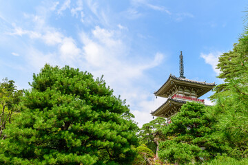 Fototapeta premium 仙台 輪王寺 夏 