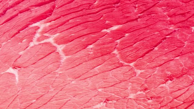Beef meat texture background realistic 3d render animation sequence