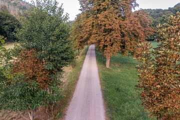 Das Selketal zwischen Meisdorf und Mägdesprung Naturlandschaft Selketalstieg