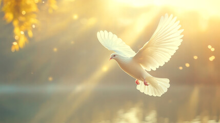 white pigeon flying on nature background © Tidarat
