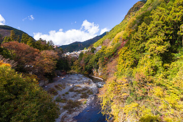 日本の風景・秋　東京都奥多摩町　紅葉の氷川渓谷