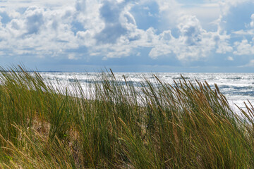 Stormy Baltic sea, Pape, Latvia.
