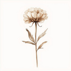 hand draw watercolor realistic bouquet fall flower, white background illustration, light brown and white, muted colors,fall colors flowers