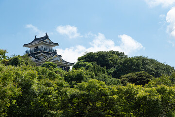 青空と浜松城