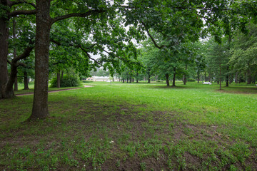 A serene landscape features a vibrant green lawn bordered by towering trees, inviting visitors to enjoy a peaceful moment amidst nature's beauty.
