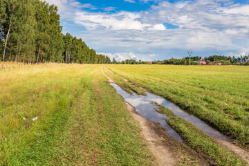 A road in a field with water on it
