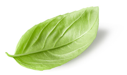 Basil leaf isolated on white background. Macro. clipping path