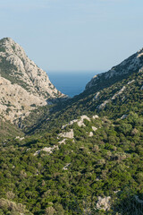 Fototapeta premium The green valley in spring and the sea view behind it. Green forest land and seascape in the background. Wonderful valleys and bays overlooking the sea. Muğla, Türkiye.