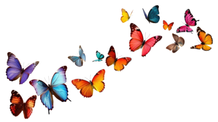set of butterflies isolated on white or transparent png