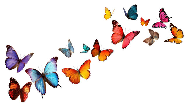 Fototapeta set of butterflies isolated on white or transparent png