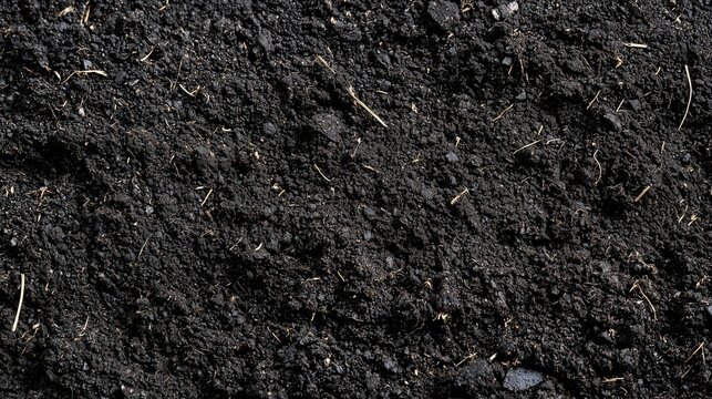 Close-up of rich, dark biochar black soil texture, highlighting its organic and fertile nature.