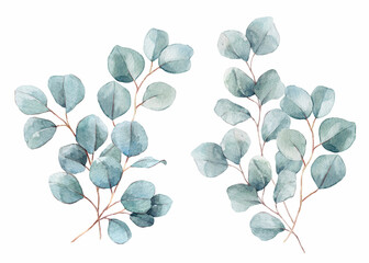 Beautiful watercolor set with hand drawn eucalyptus branches, leaves. Stock clipart illustration. Ready print design.