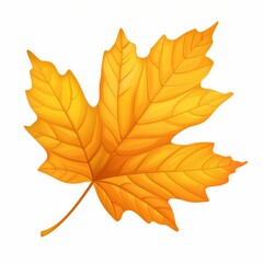 Obraz premium A Single Golden-Yellow Maple Leaf Isolated on White