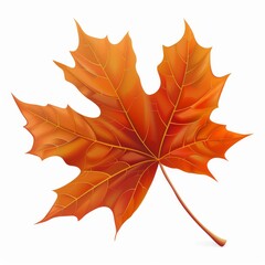 Single Orange Maple Leaf with Veins and Stem