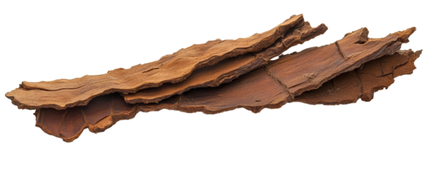 Close-up of dried tree bark isolated on white background. Perfect for nature, texture, and organic material stock photos.