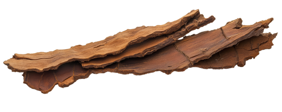 Close-up of dried tree bark isolated on white background. Perfect for nature, texture, and organic material stock photos.