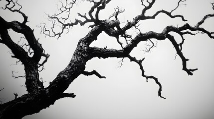 Obraz premium A haunted tree with twisted branches