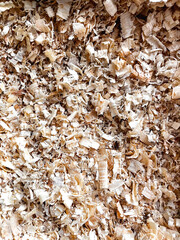 Wood shavings or sawdust after cutting wooden logs. Texture background close up top view