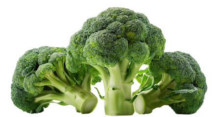 Broccoli on transparent and white background