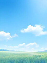 Fototapeta premium landscape with field and sky