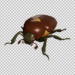 Insect 3D