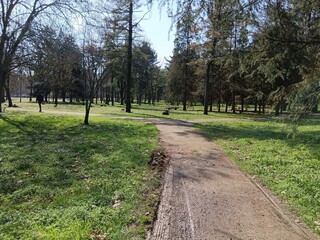 path in the park