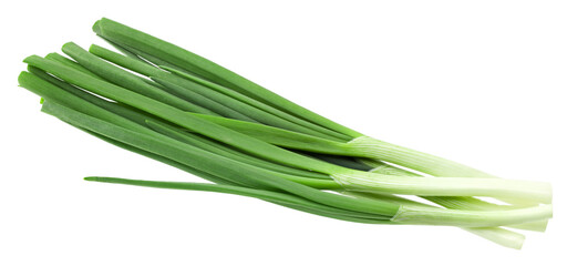 bunch of green onion isolated on white background. clipping path