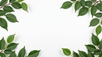 Fototapeta premium Fresh Green Leaves Border Isolated on White Background - Nature Frame for Botanical Design, Eco-Friendly Projects, and Natural Product Promotions