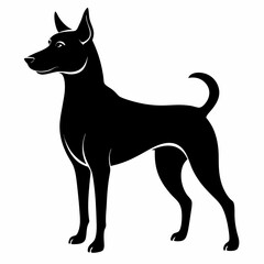 dog, animal, pet,vector svg