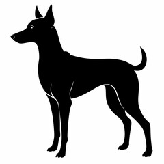 dog, animal, pet,vector svg