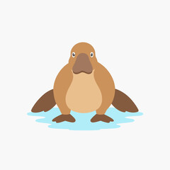 Platypus drool animal mammal duckbill