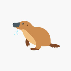 Platypus drool animal mammal