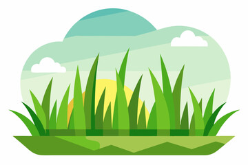 Obraz premium Green Grass with a Yellow Sun in a Cloudy Sky