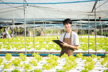  Asian couple of farmers inspects plants with a digital tablet In a greenhouse plantation. Smart...