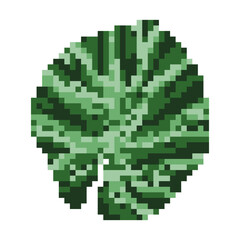 Fototapeta premium nature leaf plant pixel art