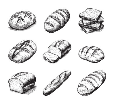 Set of bread vector illustrations - hand drawn bread - black and white bread isolated on white background