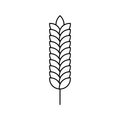 wheat / grain icon vector design template