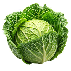 Fototapeta premium Cabbage PNG on White Background Ideal for Culinary and Agricultural Illustrations