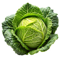 Fototapeta premium Cabbage PNG on White Background Ideal for Culinary and Agricultural Illustrations