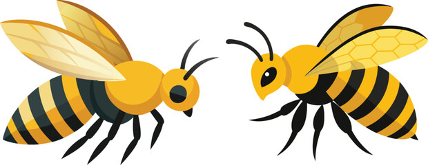 Bee, side view with white background 