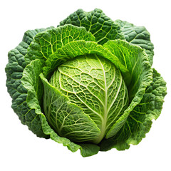Cabbage PNG on White Background Ideal for Culinary and Agricultural Illustrations