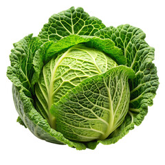 Fototapeta premium Cabbage PNG on White Background Ideal for Culinary and Agricultural Illustrations