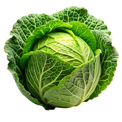 Cabbage PNG on White Background Ideal for Culinary and Agricultural Illustrations