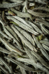 Baekho Silver Needle(baihaoyinzhen),White tea is one of the six major types of tea in China