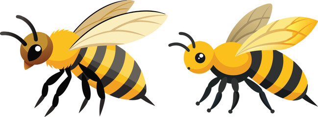 Bee, side view with white background 