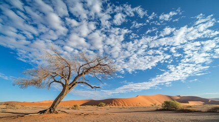 Desert tree concept featuring an ecological and environmental message
