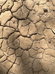 Dry cracked earth- closeup of an arid, cracked desert floor