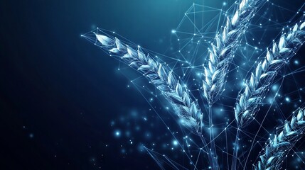 Abstract image of a Wholewheat. Vegetables wireframe concept. With dark blue background. Low poly wireframe with lines, dots and glowing particles
